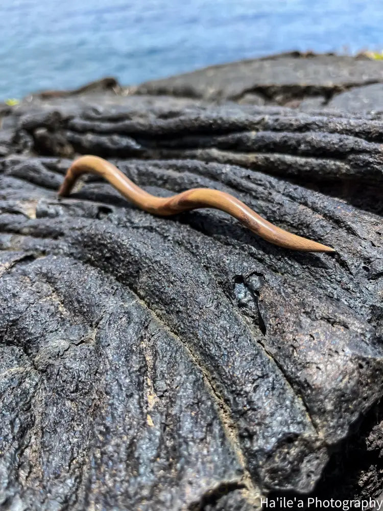 E OLA ANA - Koaia Hair Stick - Noʻeau Designers