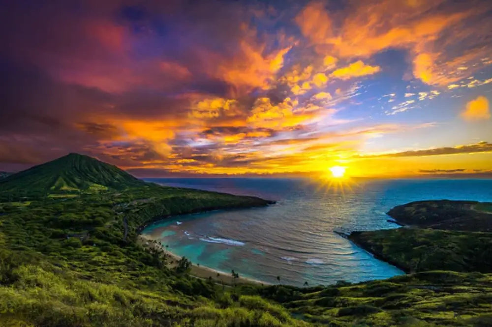HAWAII PREMIER PUZZLES - Hanauma Bay Puzzle - Noʻeau Designers