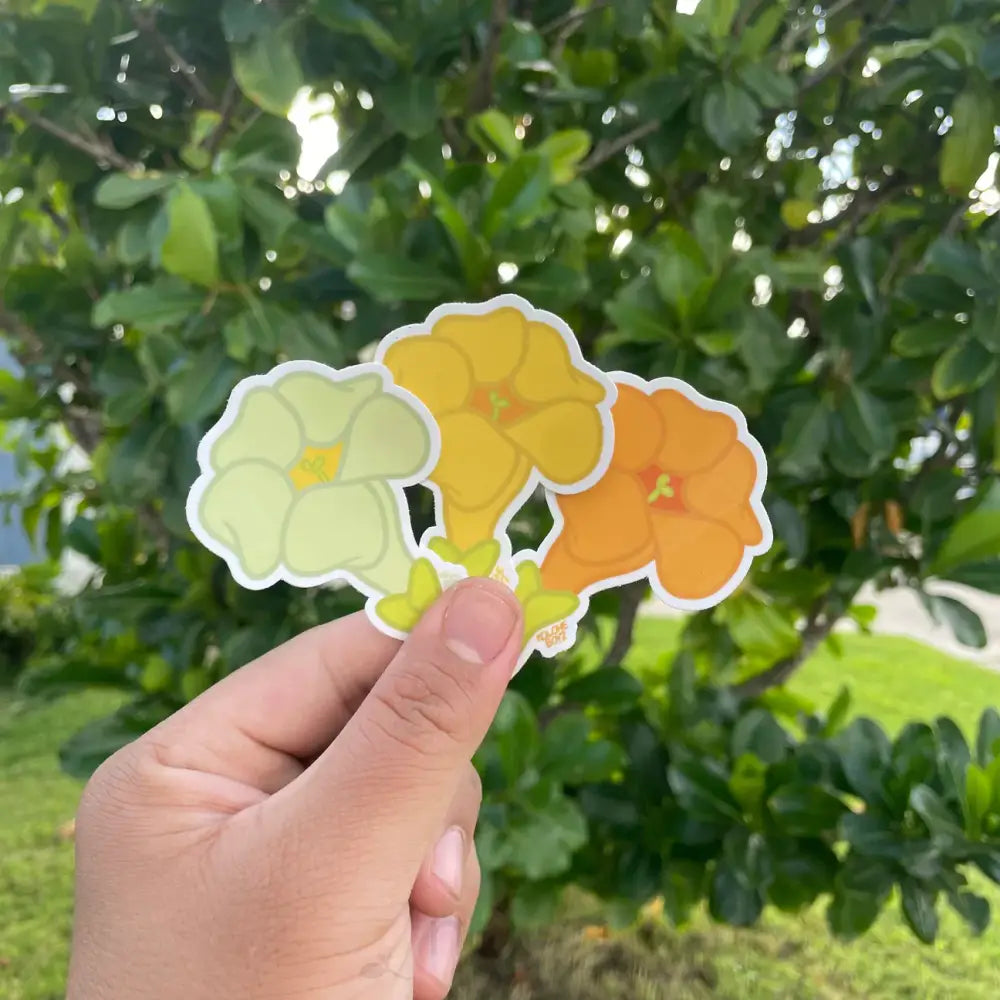 KOLOHE BOYZ - Puakenikeni Stickers - Noʻeau Designers