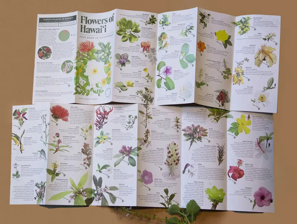 LAULIMA - Flowers of Hawaiʻi: Field Guide to Native Plants - Noʻeau Designers