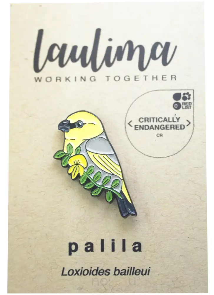 LAULIMA - Palila Pin - Noʻeau Designers
