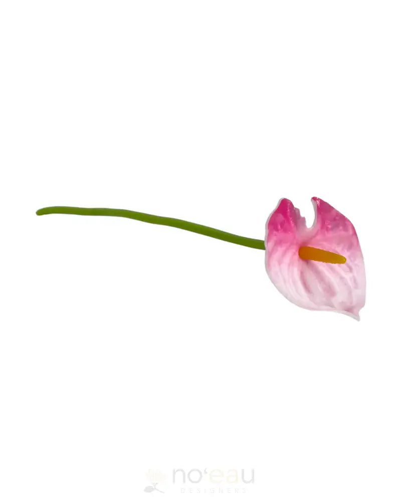 NOEAU - Anthuriums Pink ACCESSORIES