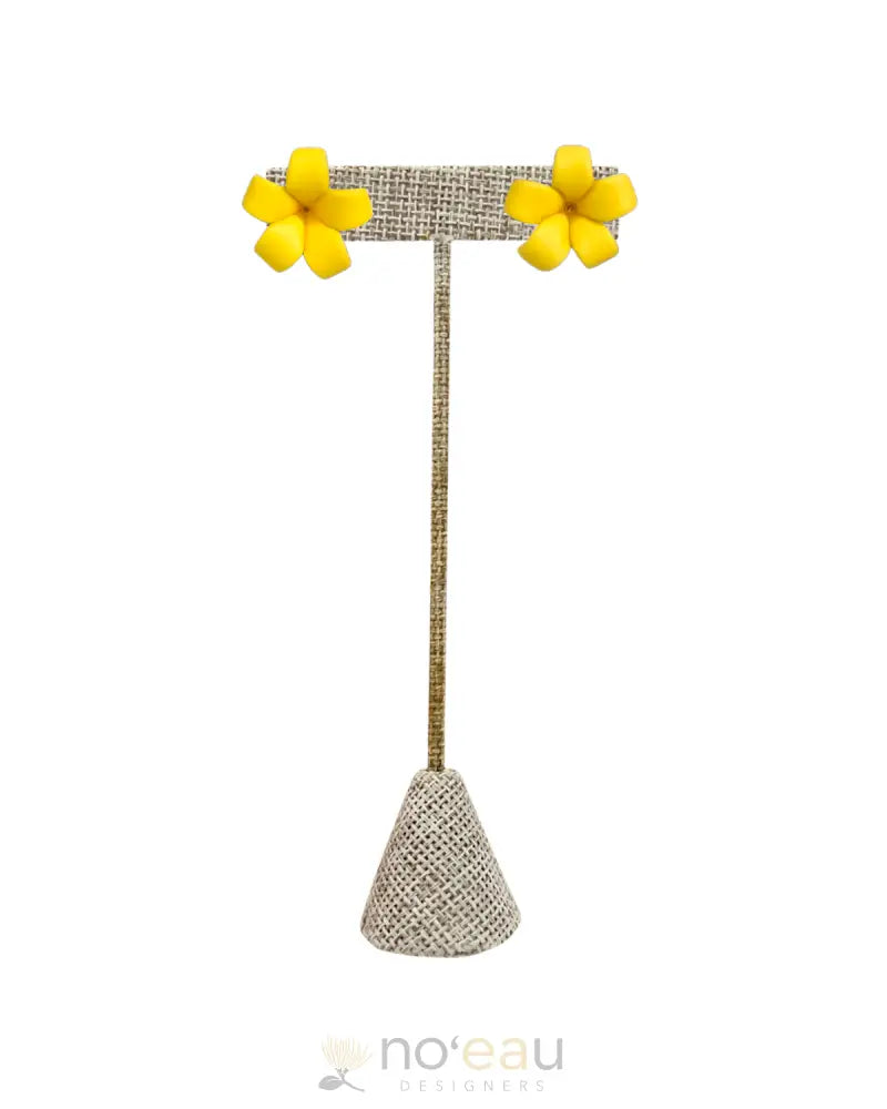 Accessories (Mea Hoʻokohu) – Noʻeau Designers